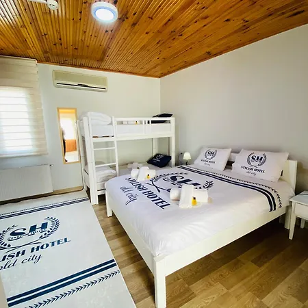 Stylish Old Provincia di Istanbul